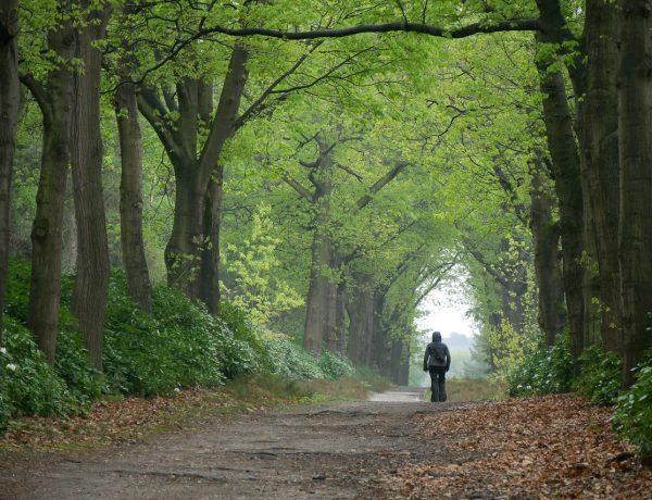 wandeltips in overijssel